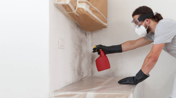 Professional Mold Cleanup technician working in Farmville, NC