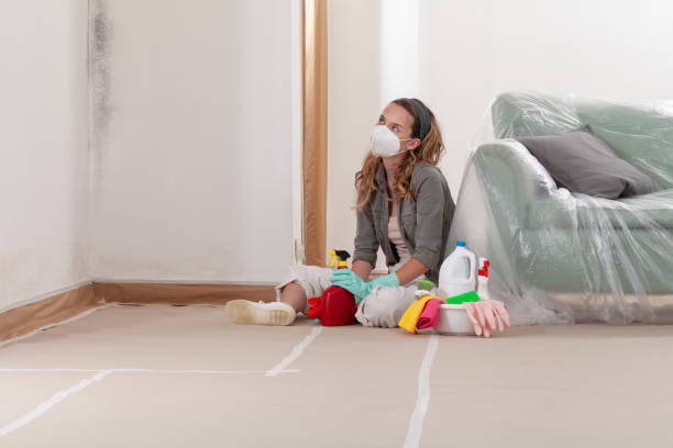 Reliable Mold Cleanup contractor in Farmville, NC by WQB Mold Removal